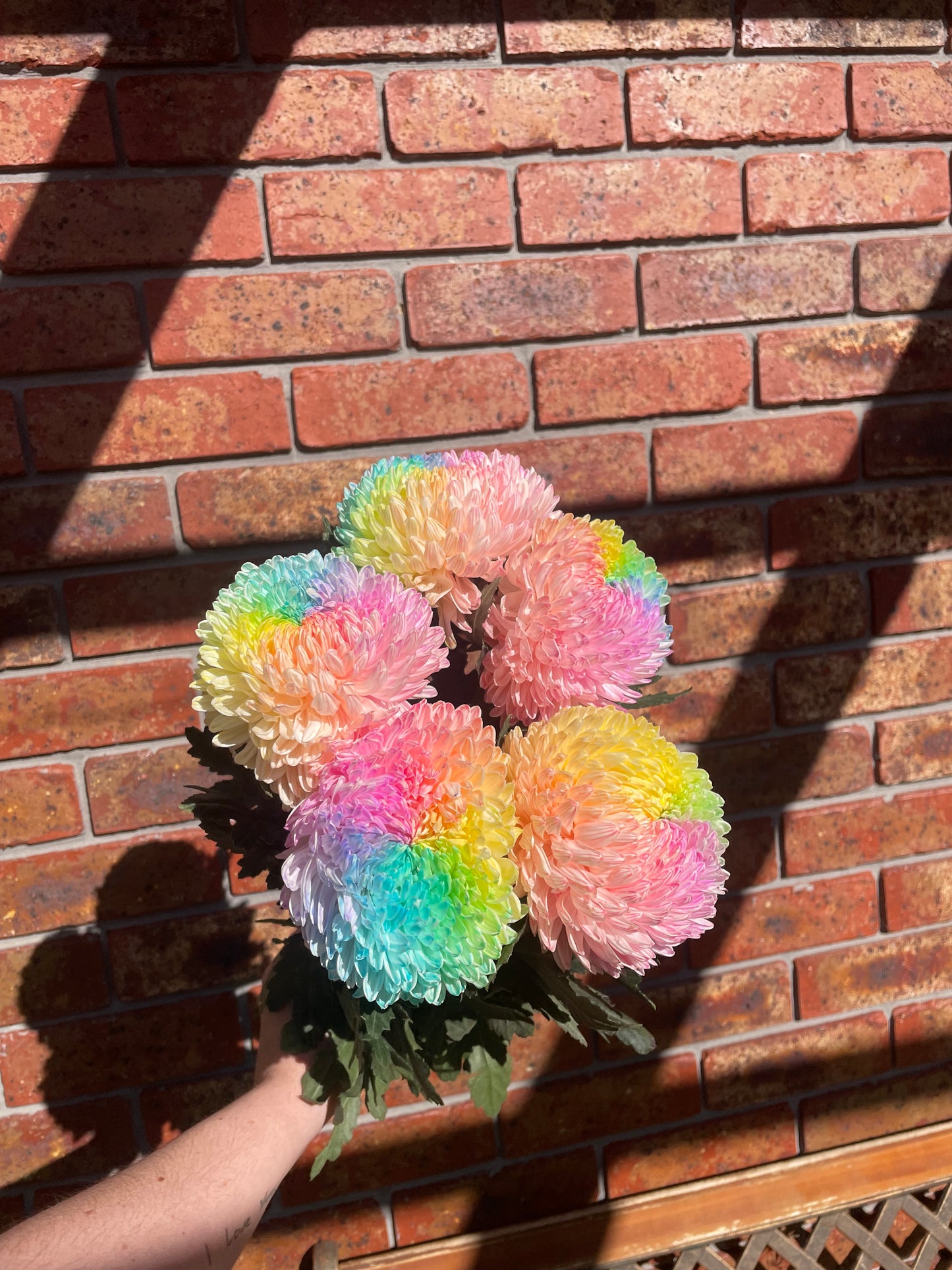 Rainbow Disbuds